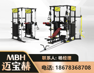 林芝多功能综合训练器