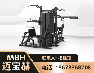 林芝四人站训练器