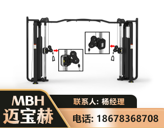 林芝大飞鸟训练器
