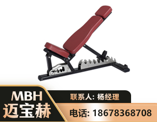 林芝可调哑铃椅