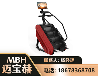 林芝商用楼梯机