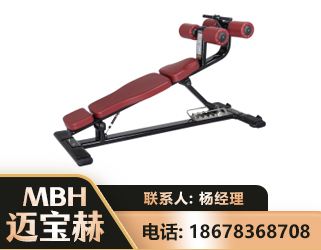 林芝可调腹肌板