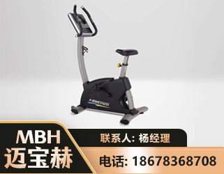 林芝立式健身车